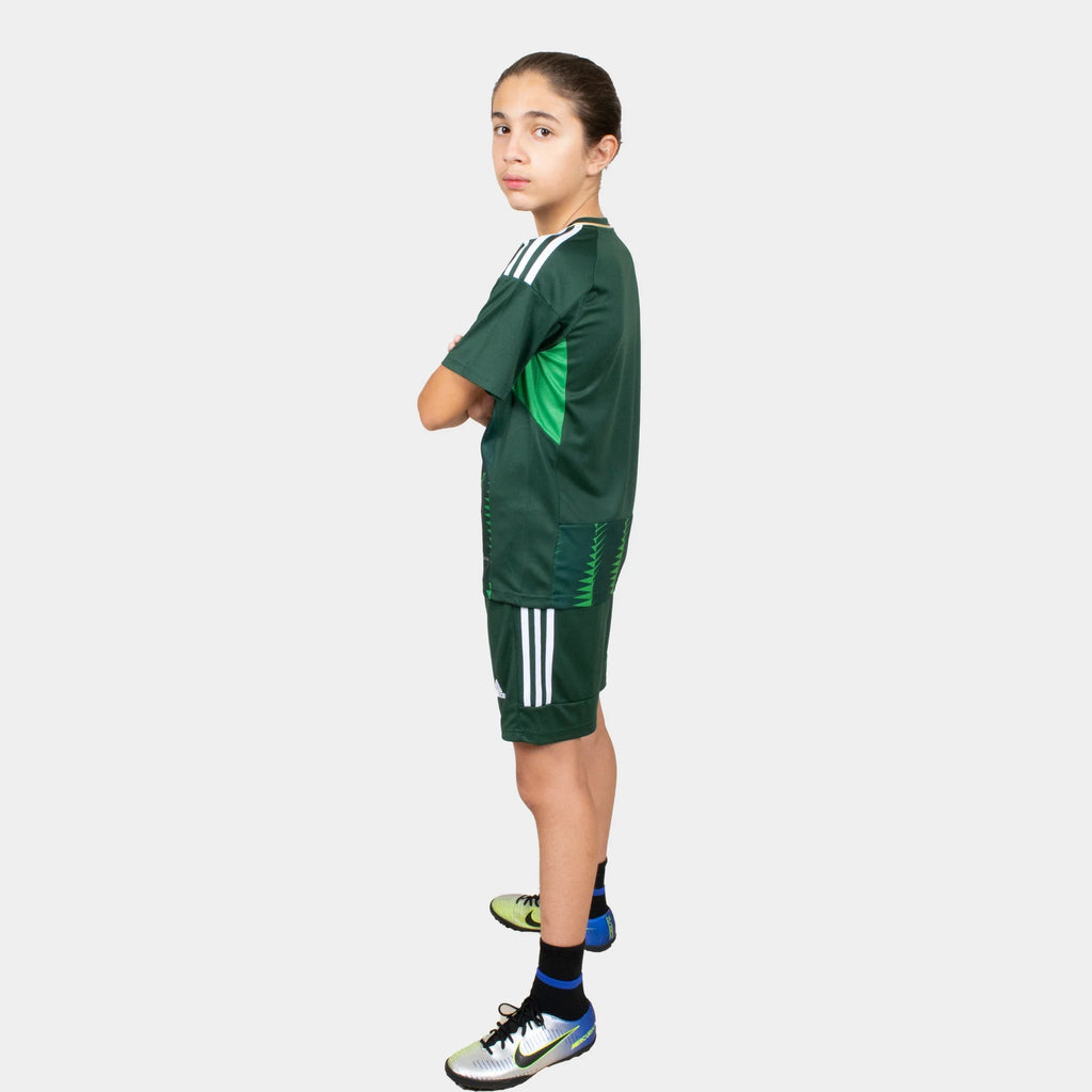 Ksa Kids Kit Home Season 23/24 Designed By Mitani Store , Regular Fit Jersey Short Sleeves And V-Neck Collar In Green Color
